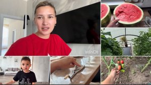 Выпал зуб и снова сломался роторасширитель😫 подвесила чеснок/ гоняют как по трассе😡