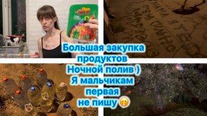 Большая закупка продуктов . Ночной полив ) Я мальчикам первая не пишу 🤭