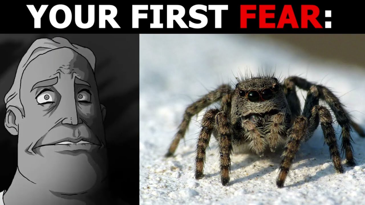 YOUR FIRST FEAR: