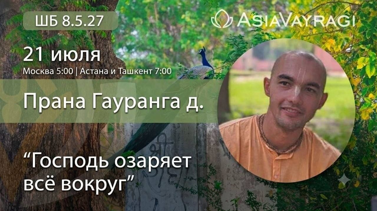 2026 год