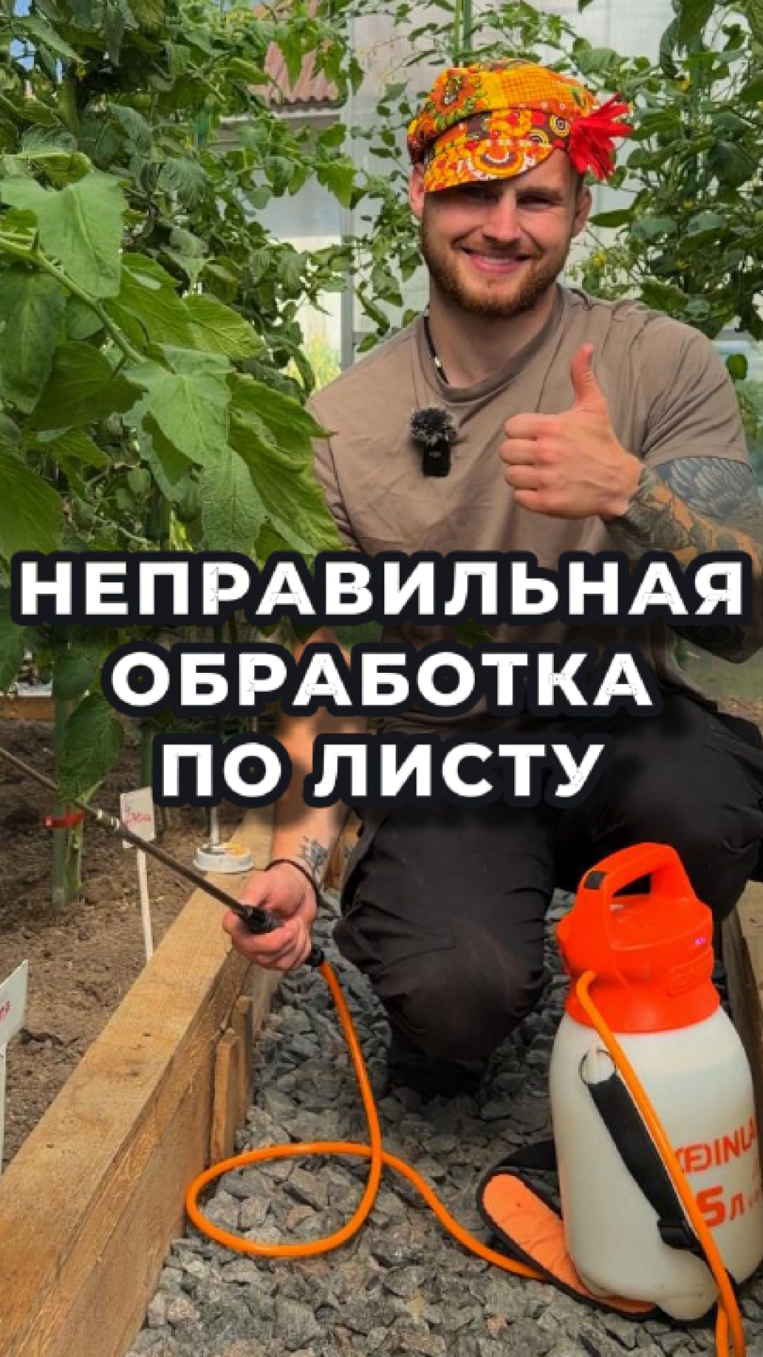 ❌ Ошибка 90% дачников: опрыскивание по верху листа.