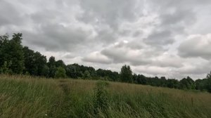 гуляю один по лесу серия 19