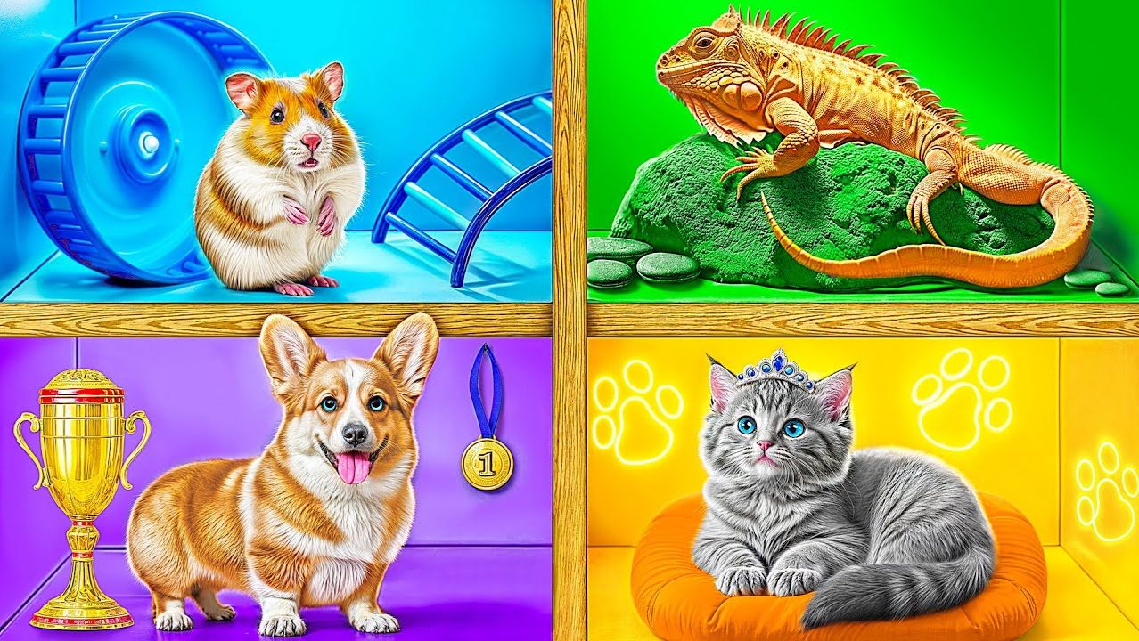 Строим Домики для Животных _ Смешные Cитуации c Multi DO Smile смотреть онлайн