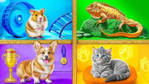 Строим Домики для Животных _ Смешные Cитуации c Multi DO Smile