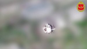 Боевая работа подразделений войск бесплиотных систем в Красном Лимане