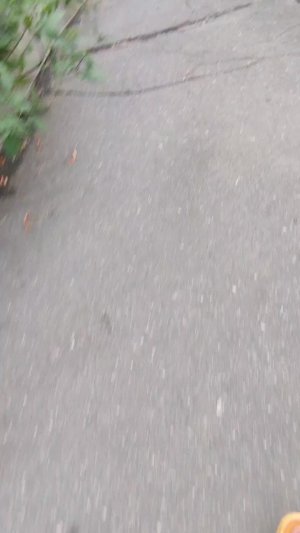 Гуляю