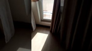 мы не знаем что это такое! угар не очень связан с котами
