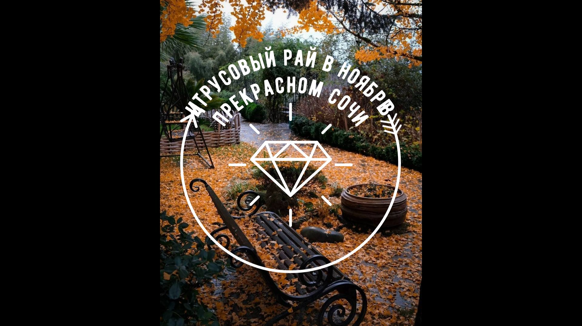 Цитрусовый рай в ноябре в прекрасном Сочи SUB TITLE смотреть онлайн