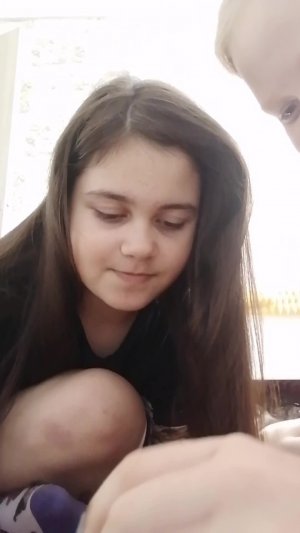 Шоубести
