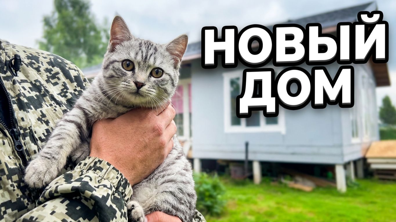 РАБОТА В ПОДМОСКОВЬЕ: Начинаю новый проект с Нэнси #стройка #ремонт #своимируками смотреть онлайн
