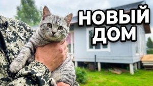 РАБОТА В ПОДМОСКОВЬЕ: Начинаю новый проект с Нэнси  #стройка #ремонт #своимируками