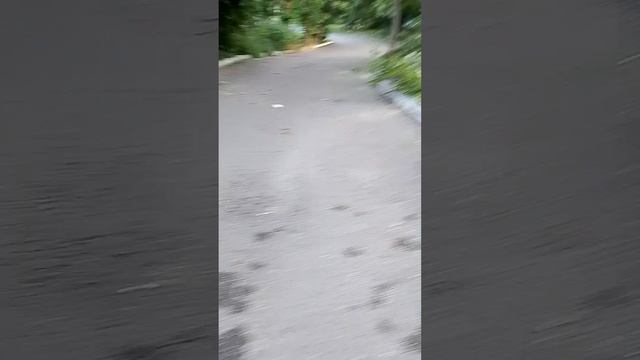 страдаем фигнёй 1 чясть смотреть онлайн