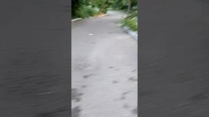 страдаем фигнёй 1 чясть