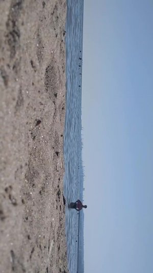 Море Мариуполь онлайн
