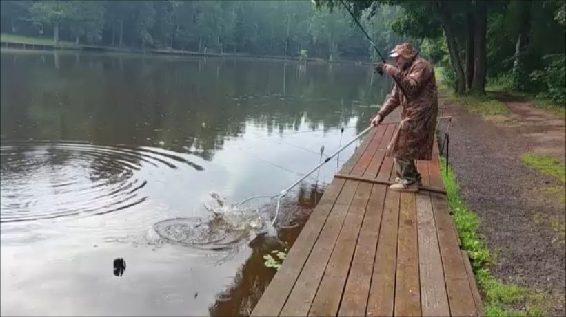 Утренний обзор с нижнего водоёма. Клёвое место, Лосиный остров. смотреть онлайн