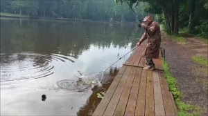Утренний обзор с нижнего водоёма. Клёвое место, Лосиный остров.