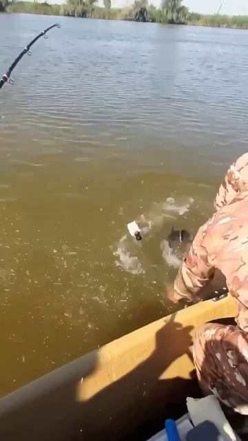 Очень достойный улов, повезло так повезло 👍