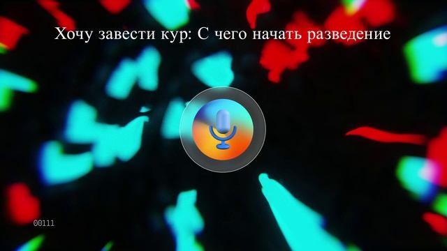 Хочу завести кур: С чего начать разведение