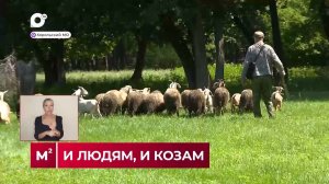 Квадратные метры/ Найти компромисс / 21.07.26