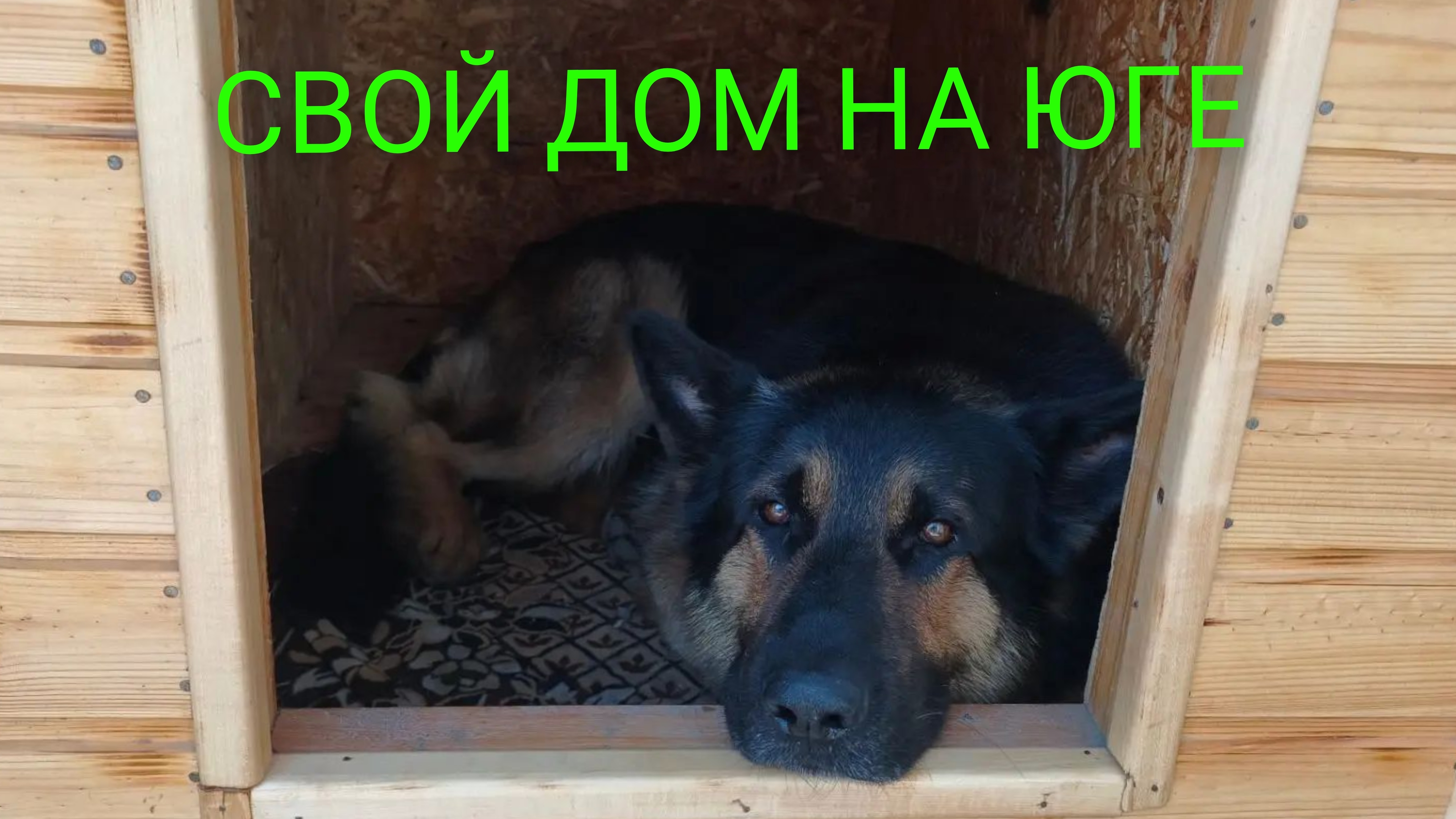 Сам чёрт ногу сломит.Неправильное время.Пот градом. смотреть онлайн
