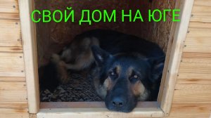 Сам чёрт ногу сломит.Неправильное время.Пот градом.
