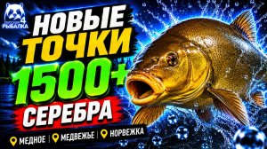 🤑 ТОП-4 ТОЧКИ ФАРМА РР4 (21.07)! РР4 Фарм СЕРЕБРА в Русской Рыбалке 4! МЕДНОЕ • МЕДВЕЖЬЕ • НОРВЕЖКА