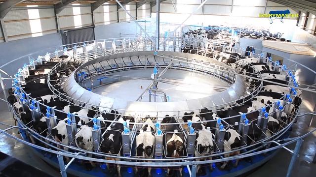 Доильный зал карусель от DairyMaster