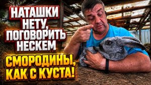 2007 мы в ответе за тех кого выбрали