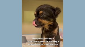 Крошечный Князь