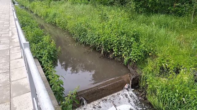 Река "Саминка" в районе ЖК Одинбург в Одинцово смотреть онлайн