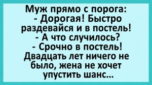 Муж прямо с порога: Дорогая! Быстро раздевайся и в постель... | Анекдоты смешные | Юмор