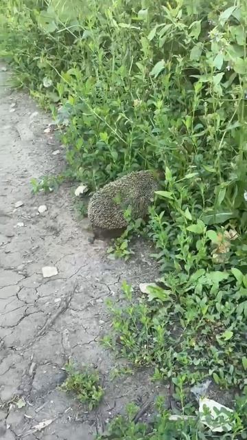17419546856043 смотреть онлайн