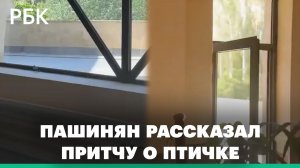 Пашинян рассказал притчу о бьющейся в стекло птичке