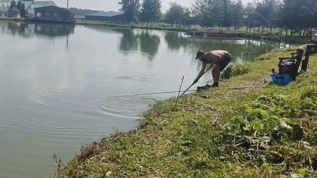 Поимка карпа смотреть онлайн
