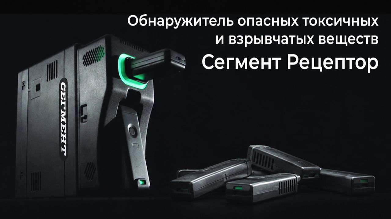Детектор СЕГМЕНТ с досмотровыми рецепторами