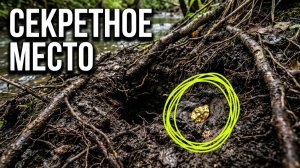 Нашел яму где скапливается Золото в ручье!