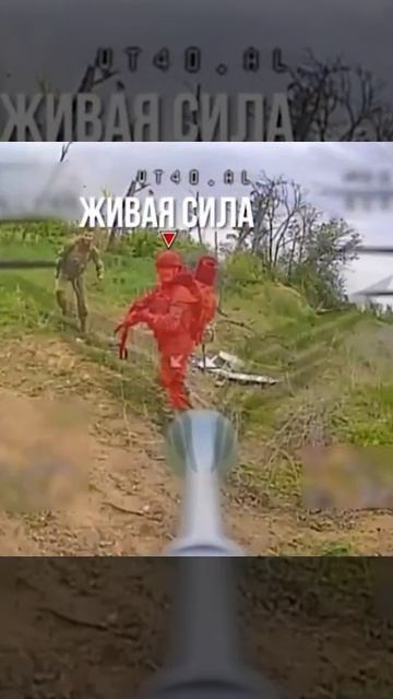 Привет, хохлы!