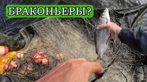 ТОЧНО БРАКОНЬЕРЫ? ТАК РЫБАЧАТ НА КРАЙНЕМ СЕВЕРЕ!