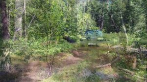 Новая Нива Тревел 1.8 на лесном бездорожье.