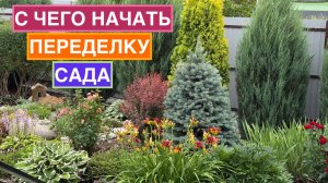 Сад достался готовым: что делать?