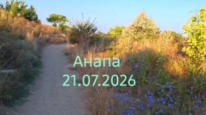 Анапа 21.07.2026
