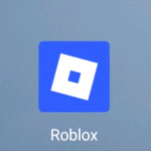 Играем в Roblox