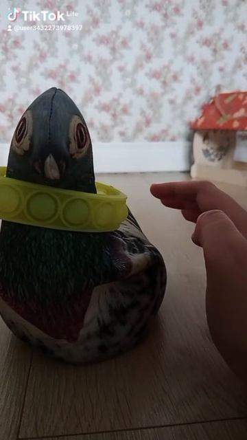 гуля