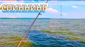 Спиннинг на озере Шарташ где прячется окунь?