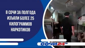 В Сочи за полгода изъяли более 25 килограммов наркотиков
