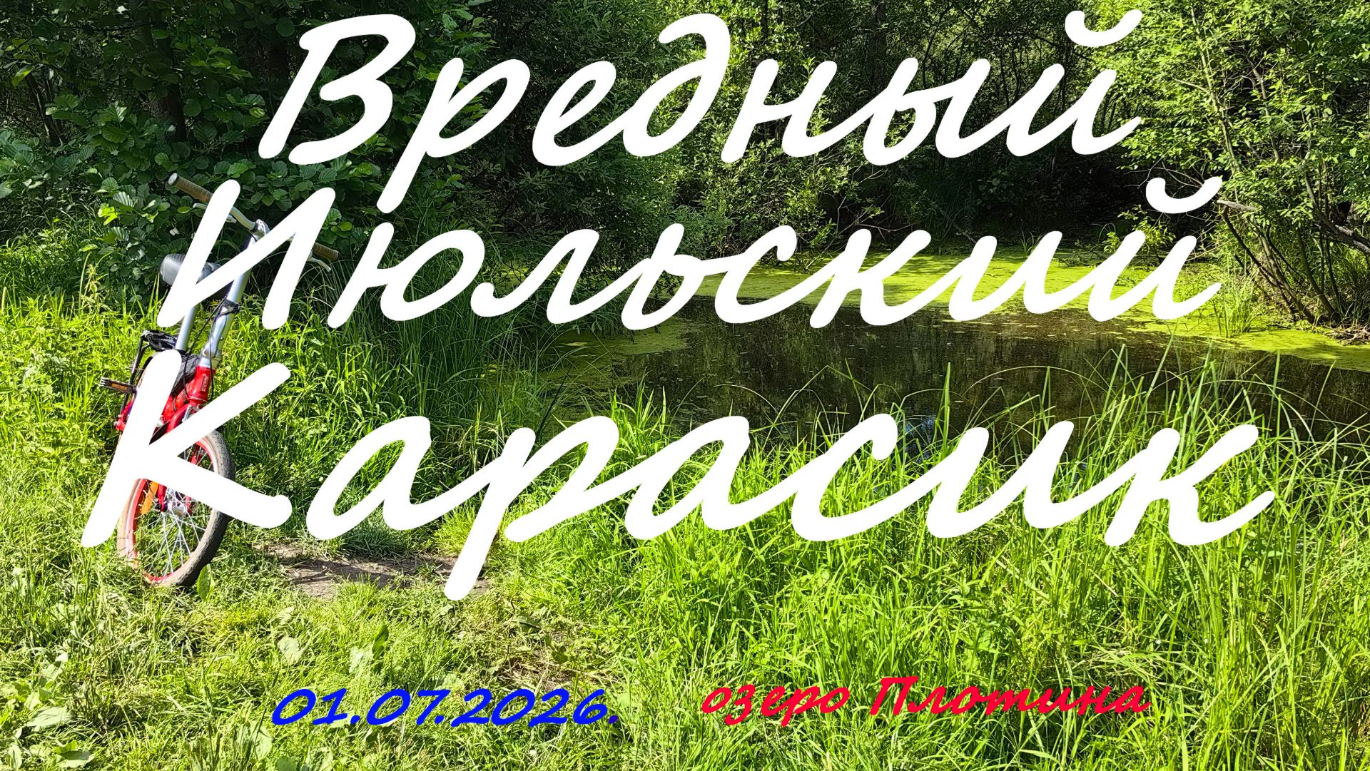 Вредный июльский карасик. 01.07.2026. Озеро Плотина. Рыбалка в Московской области в июле. смотреть онлайн