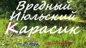 Вредный июльский карасик. 01.07.2026. Озеро Плотина. Рыбалка в Московской области в июле.