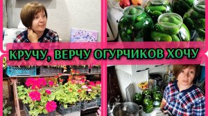21-07-2026 Мариную огурцы🥒На рынок за травой🌱Вкусный коктейль 👍Вафли с бананом🍌Комментарии❤️