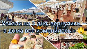 Переезд на юг 🌞Уехали на 3 дня, вернулись — а дома всё изменилось!»😲