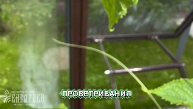 🎥 Заглянули к нашему заказчику — показываем результат!